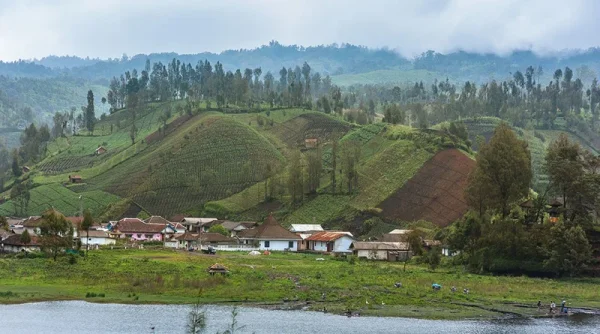 Bahasa Lokal Terancam Punah, WGII Ingatkan Indonesia Hadapi Krisis Biokultural